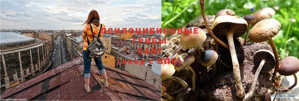 амфетамин Кущёвская